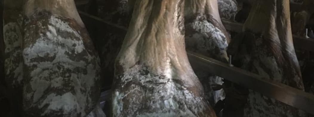 Moho en el Jamón: ¿Un problema o una oportunidad para saborear? - Productos ibéricos de bellota - RR