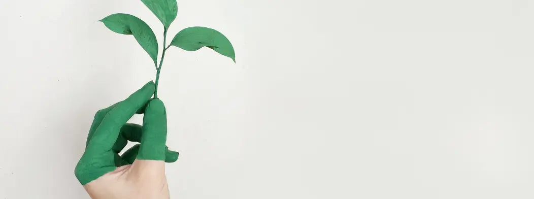 Dieta ecológica y sostenible - Productos ibéricos de bellota - RR