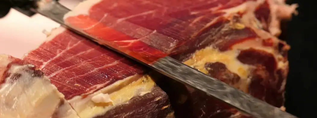 paletilla iberica