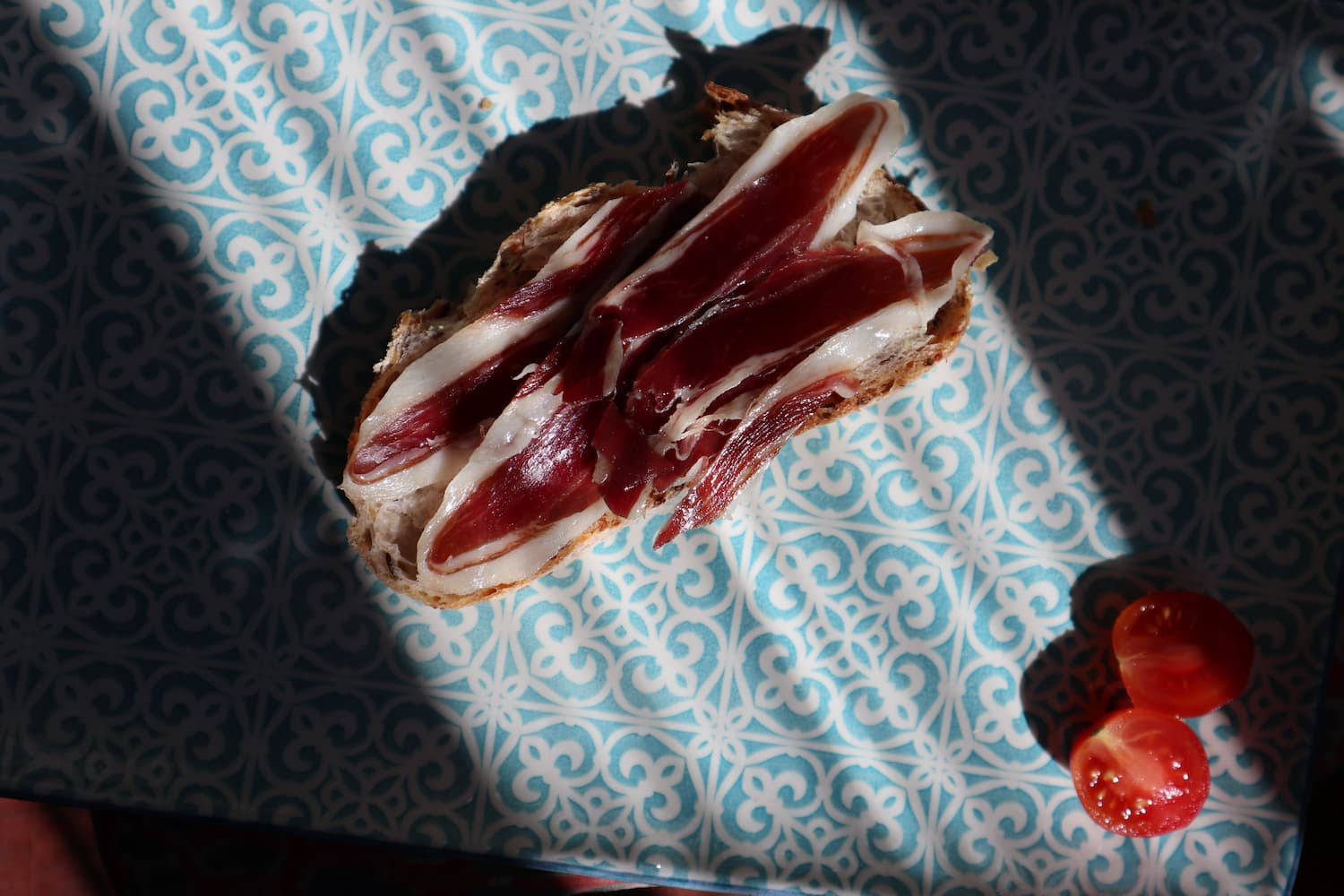 Paleta iberica de bellota